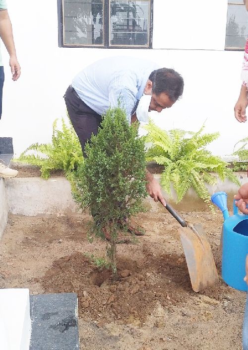 Dimapur Deputy Commissioner, Anoop Khinchi, IAS, planting a sapling at the Dimapur Government College campus on July 18.